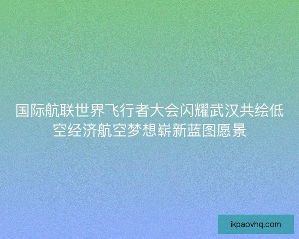 国际航联世界飞行者大会闪耀武汉共绘低空经济航空梦想崭新蓝图愿景